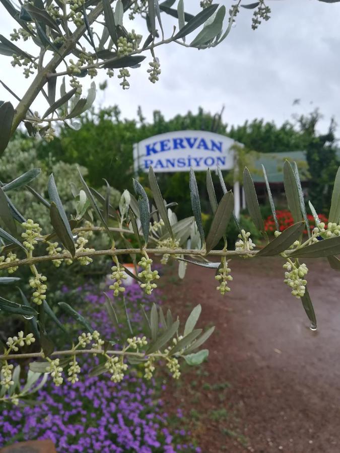 Kervan Pansiyon Çıralı エクステリア 写真